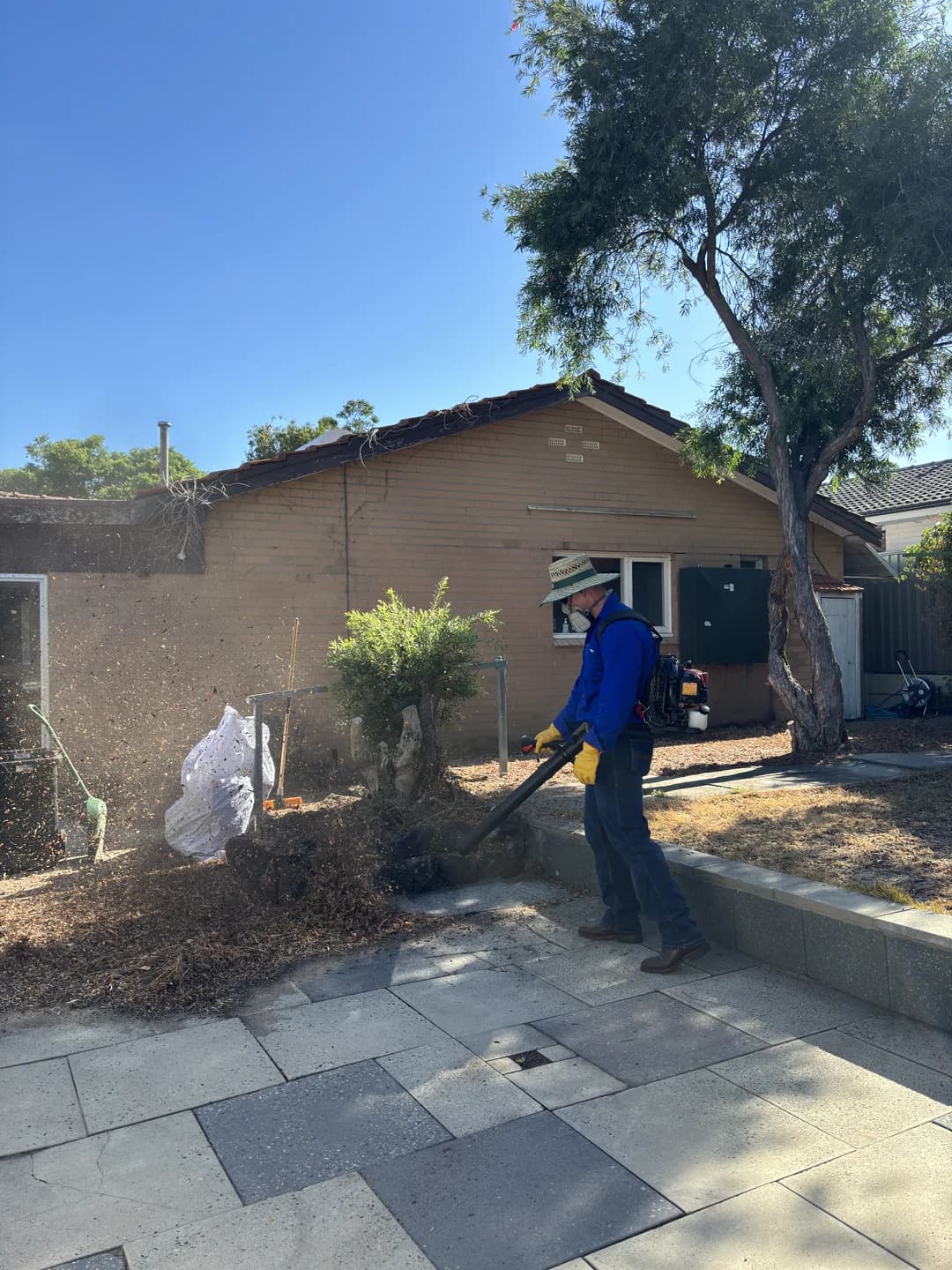 Paver cleaning and restoration